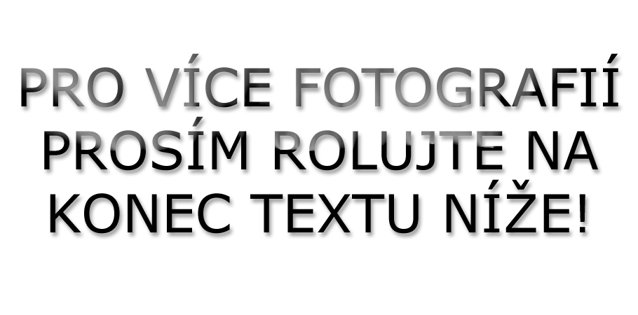 Dvoupatrový stojan Torii